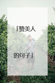 赞美人的句子