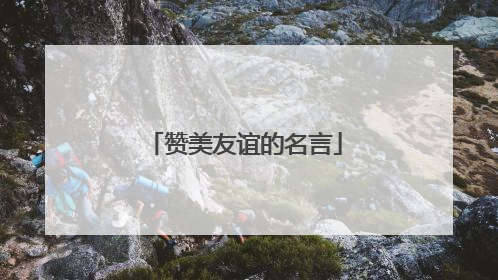 赞美友谊的名言
