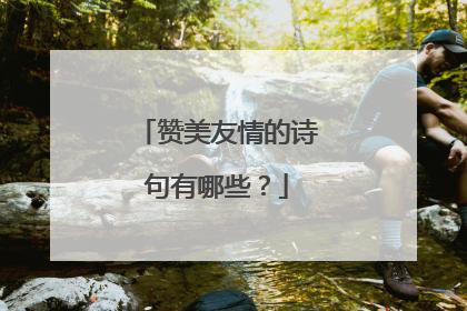 赞美友情的诗句有哪些?
