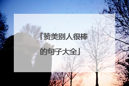 赞美别人很棒的句子大全