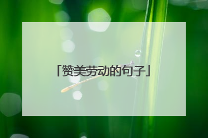 赞美劳动的句子