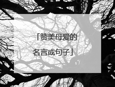 赞美母爱的名言或句子