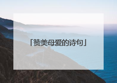 赞美母爱的诗句
