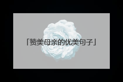 赞美母亲的优美句子