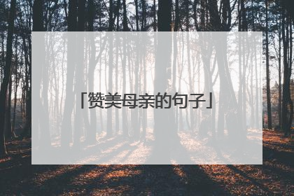 赞美母亲的句子