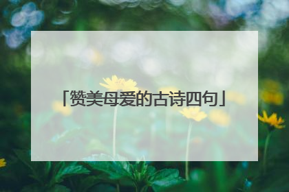 赞美母爱的古诗四句