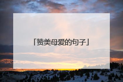 赞美母爱的句子
