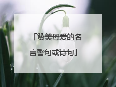 赞美母爱的名言警句或诗句