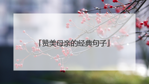赞美母亲的经典句子