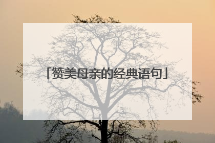 赞美母亲的经典语句