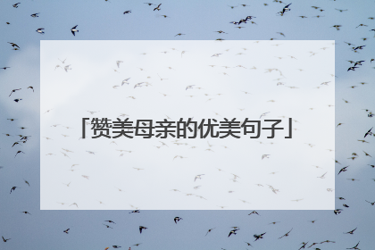 赞美母亲的优美句子