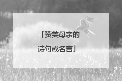 赞美母亲的诗句或名言