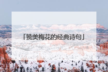 赞美梅花的经典诗句