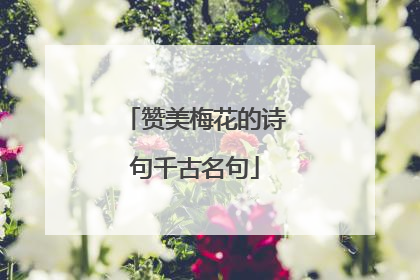 赞美梅花的诗句千古名句