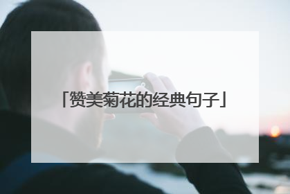 赞美菊花的经典句子