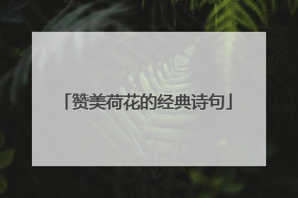 赞美荷花的经典诗句