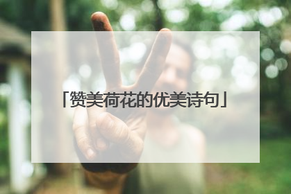 赞美荷花的优美诗句