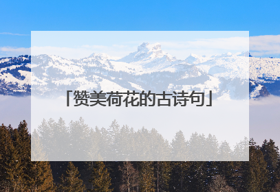 赞美荷花的古诗句
