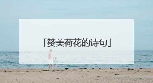 赞美荷花的诗句