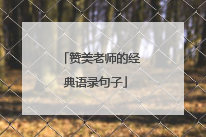 赞美老师的经典语录句子