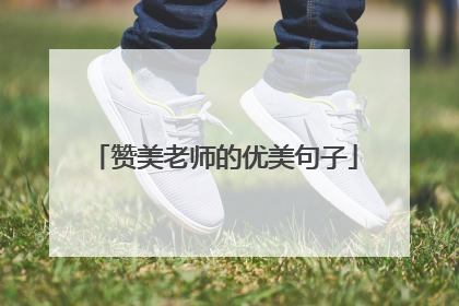 赞美老师的优美句子