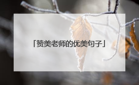 赞美老师的优美句子