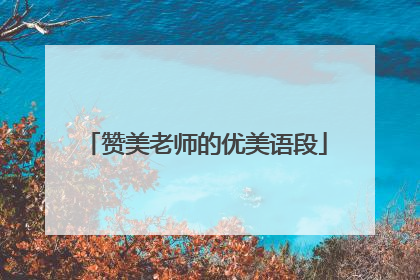 赞美老师的优美语段