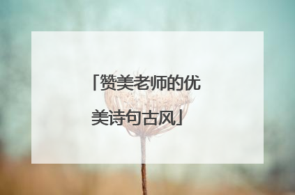 赞美老师的优美诗句古风