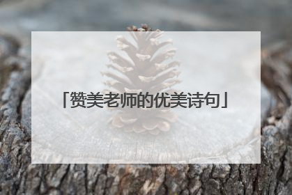 赞美老师的优美诗句