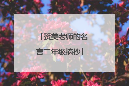赞美老师的名言二年级摘抄