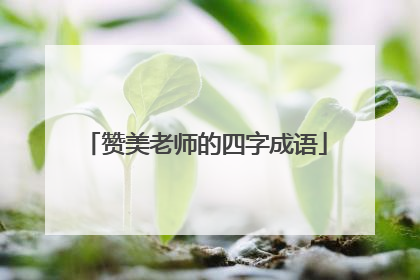 赞美老师的四字成语