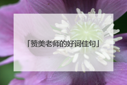 赞美老师的好词佳句