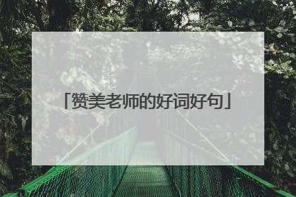 赞美老师的好词好句