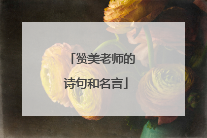 赞美老师的诗句和名言
