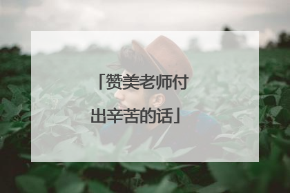 赞美老师付出辛苦的话