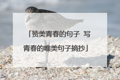 赞美青春的句子 写青春的唯美句子摘抄
