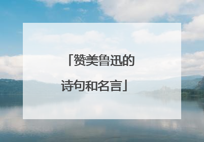 赞美鲁迅的诗句和名言