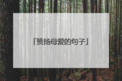 赞扬母爱的句子
