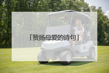 赞扬母爱的诗句