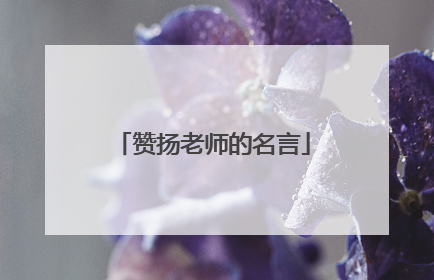 赞扬老师的名言