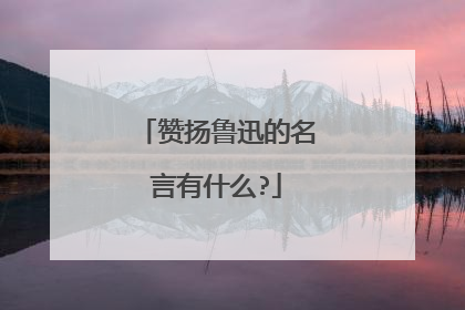 赞扬鲁迅的名言有什么?