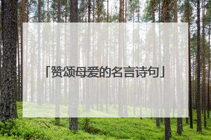 赞颂母爱的名言诗句