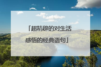 超精辟的对生活感悟的经典语句