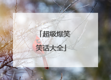 超级爆笑笑话大全