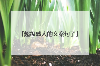 超级感人的文案句子