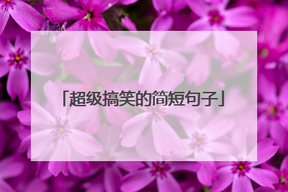 超级搞笑的简短句子