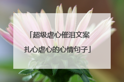 超级虐心催泪文案 扎心虐心的心情句子