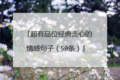 超有品位经典走心的情感句子（50条）