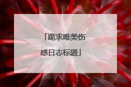 跪求唯美伤感日志标题