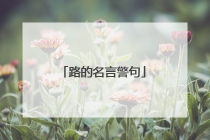 路的名言警句